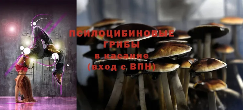 OMG зеркало  Воркута  Галлюциногенные грибы Magic Shrooms 