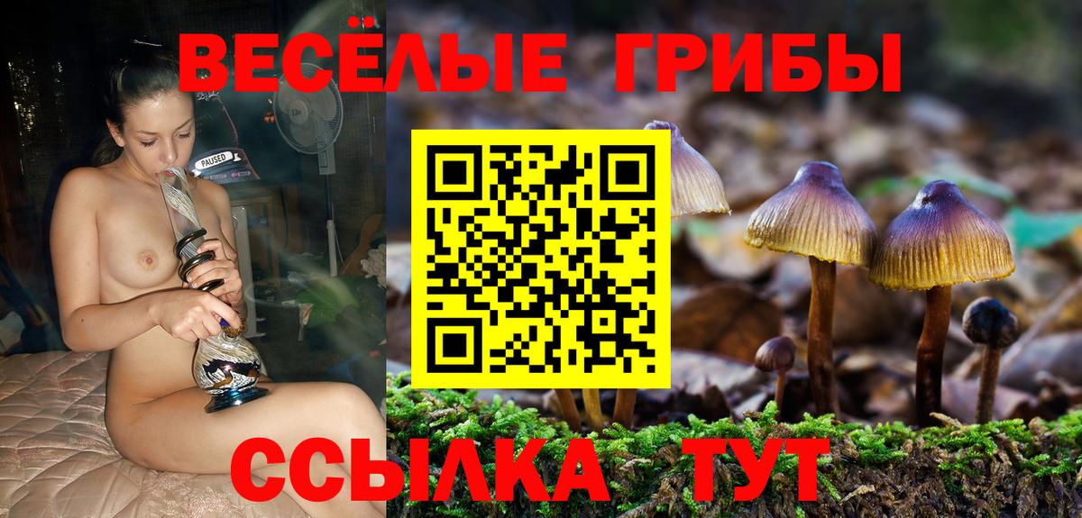 Псилоцибиновые грибы мухоморы Воркута