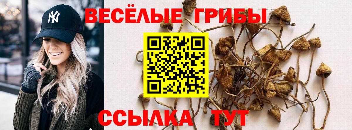 Псилоцибиновые грибы MAGIC MUSHROOMS  Галлюциногенные грибы Cubensis  Воркута  Вход с VPN 