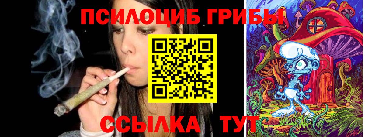 Псилоцибиновые грибы мицелий Воркута